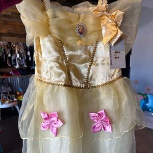 Disney Princess Costume